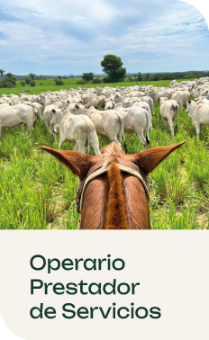 Operario Prestador de Servicios